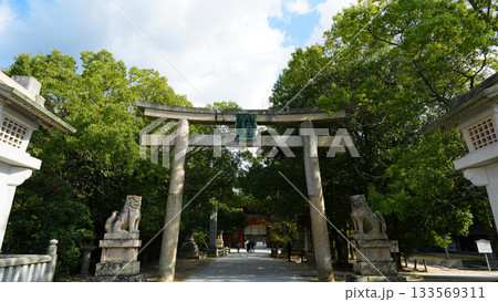 大山祇神社（おおやまづみじんじゃ） 133569311