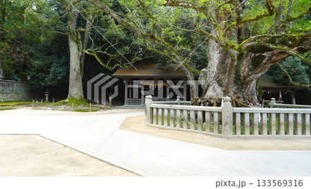 大山祇神社（おおやまづみじんじゃ） 133569316