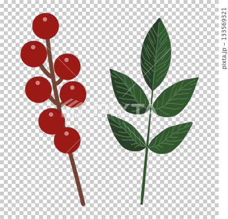 南天竹果實和南天竹葉的插圖 南天竹果實和南天竹葉的插圖 133569321