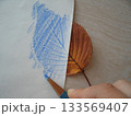 サクラの葉に紙を乗せて青い色鉛筆で模様を写し取る様子 133569407