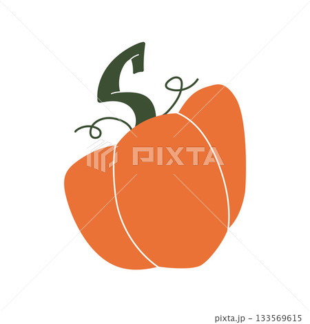 Vibrant pumpkin in rich orange tones with stylized sweeping stem and playful vines. Cheerful flat vector illustration. For autumn market, seasonal print, packaging and festive project. 133569615