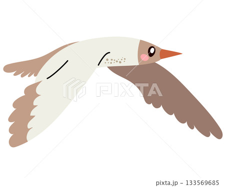 Capuchin Gull Bird Cartoon Vector Illustration 133569685