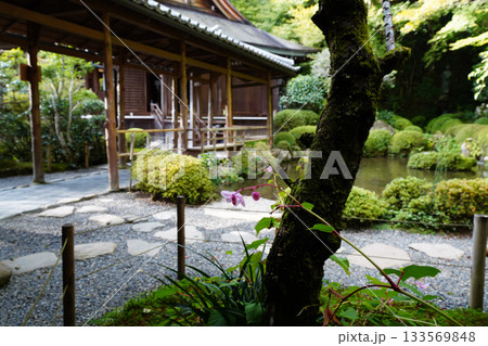 京都大原寂光院の庭園 133569848