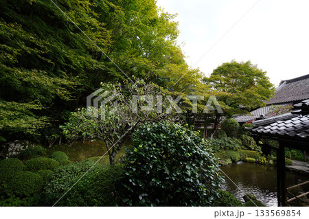 京都大原寂光院の庭園 133569854