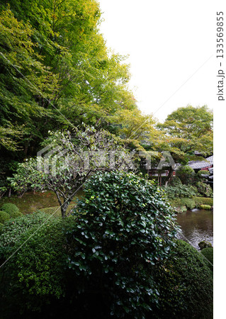 京都大原寂光院の庭園 133569855