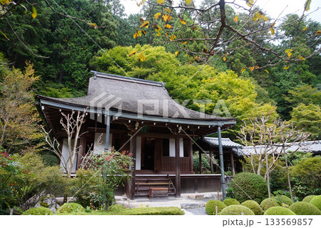 京都大原寂光院の庭園 133569857