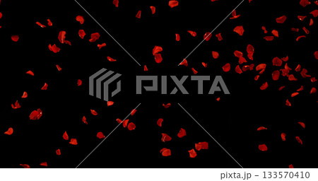 Flying Dark Red Rose Petals Isolated on Black Background. Freeze Motion VFX Overlay for Romantic Scenes, Cinematic Transitions and Graphics. 133570410