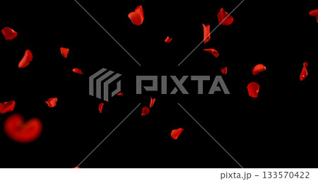 Flying Dark Red Rose Petals Isolated on Black Background. Freeze Motion VFX Overlay for Romantic Scenes, Cinematic Transitions and Graphics. 133570422