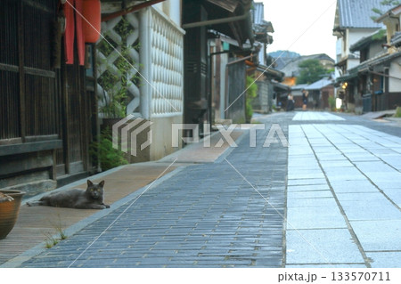 のんびり感漂う小京都竹原 133570711