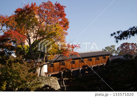 晴天の青さに映える紅葉の頃の和歌山城の御橋廊下 133571020