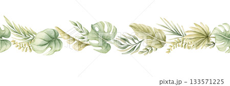 Monstera Palm Leaves seamless border. Tropical Exotic green plants. Watercolor hand painted summer pastel neutral isolated illustration on white background for nursery kids baby safari design package 133571225