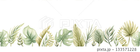 Monstera Palm Leaves seamless border. Tropical Exotic green plants. Watercolor hand painted summer pastel neutral isolated illustration on white background for nursery kids baby safari design package 133571228