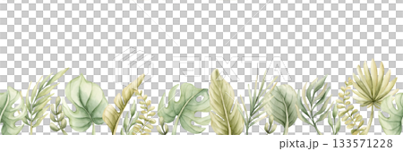 Monstera Palm Leaves seamless border. Tropical Exotic green plants. Watercolor hand painted summer pastel neutral isolated illustration on white background for nursery kids baby safari design package Monstera Palm Leaves seamless border. Tropical Exotic green plants. Watercolor hand painted summer pastel neutral isolated illustration on white background for nursery kids baby safari design package 133571228
