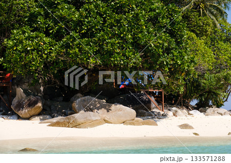 Serene beach scene with lush greenery and smooth stones near crystal clear water during a sunny day Serene beach scene with lush greenery and smooth stones near crystal clear water during a sunny day 133571288