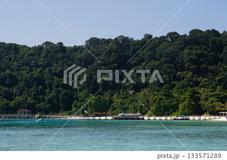 Scenic beach view with lush green foliage and tranquil waters during a clear sunny day near a secluded pier. Lang Tengah, Malaysia. 133571289