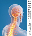 Human brain glowing inside transparent skull showing spinal cord and cervical vertebrae, representing a neurological problem or a headache 133571617