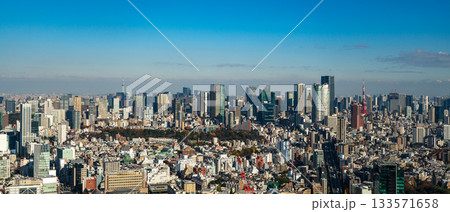 東京タワーと東京都心の風景 133571658