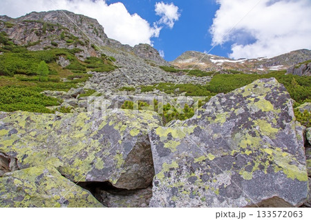 Alpine talus slope with scattered boulders and green vegetation 133572063