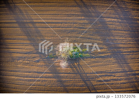 Aerial view of isolated tree patch in plowed farmland 133572076