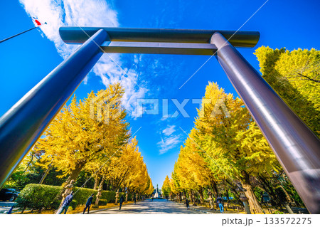 日本の東京都市景 あの空の彼方に…あの日の悲劇を決して忘れてはならない=11月21日、靖国神社 日本の東京都市景 あの空の彼方に…あの日の悲劇を決して忘れてはならない=11月21日、靖国神社 133572275