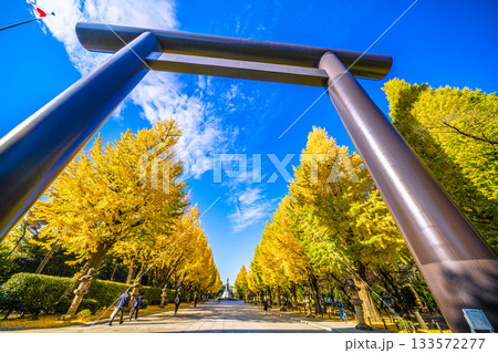 日本の東京都市景 あの空の彼方に…あの日の悲劇を決して忘れてはならない＝11月21日、靖国神社 133572277