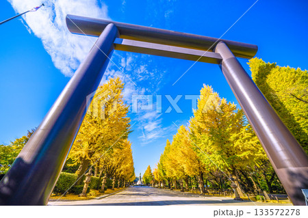 日本の東京都市景 あの空の彼方に…あの日の悲劇を決して忘れてはならない=11月21日、靖国神社 日本の東京都市景 あの空の彼方に…あの日の悲劇を決して忘れてはならない=11月21日、靖国神社 133572278