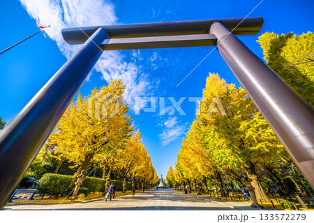 日本の東京都市景 あの空の彼方に…あの日の悲劇を決して忘れてはならない＝11月21日、靖国神社 133572279