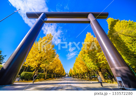日本の東京都市景 あの空の彼方に…あの日の悲劇を決して忘れてはならない＝11月21日、靖国神社 133572280