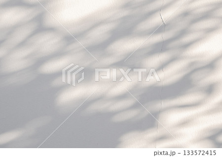 Abstract natural tree leaves shadow on white wall background 133572415
