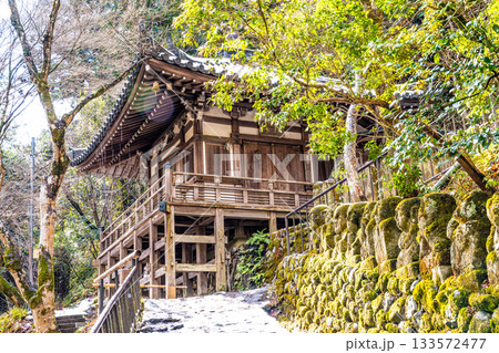 冬の愛宕念仏寺 参道と地蔵堂 京都府京都市右京区 冬の愛宕念仏寺 参道と地蔵堂 京都府京都市右京区 133572477