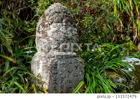 冬の愛宕念仏寺　苔むす石仏　京都府京都市右京区 133572479