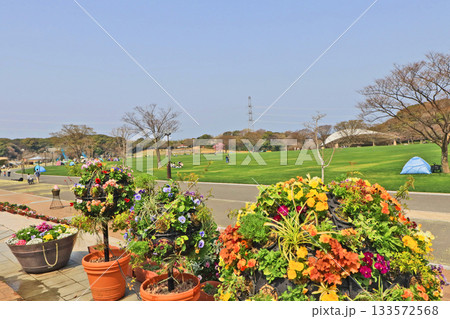 北九州市響灘緑地の都市公園花いっぱいのグリーンパーク 133572568