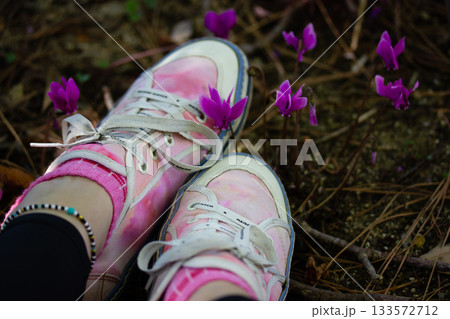 Stylish girl in pink sneakers sitting among purple violet cyclamen hederifolium flowers in the garden. Oneness with nature. Travel discover the World. Stylish girl in pink sneakers sitting among purple violet cyclamen hederifolium flowers in the garden. Oneness with nature. Travel discover the World. 133572712