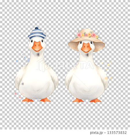 Two white cute geese in headdresses, watercolor isolated illustration for your design Two white cute geese in headdresses, watercolor isolated illustration for your design 133573832