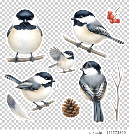 Set of cute abstract birds, watercolor isolated illustration fantasy characters for your cartoon desi 133573860