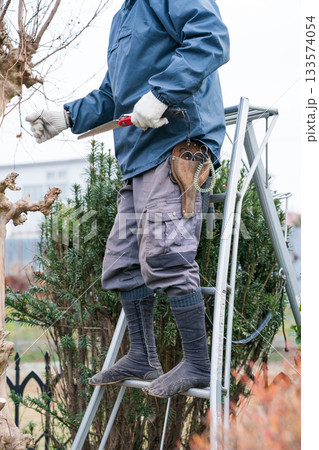 Japanese Gardener 133574054