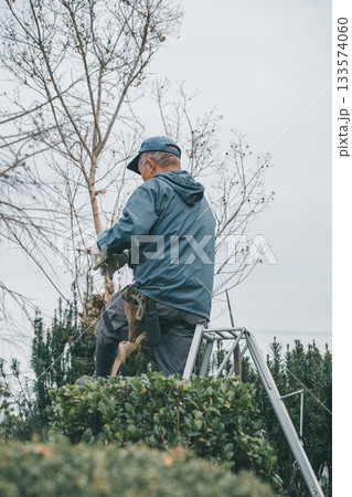 Japanese Gardener 133574060
