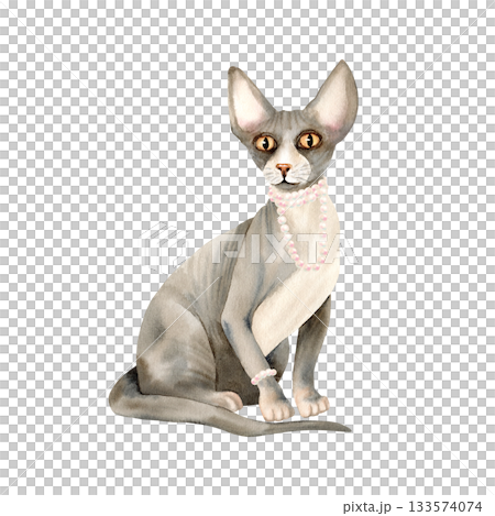 Sphinx hairless cat with pearl necklace, bracelet on a paw. Domestic bald skin sphynx pet with jewel, accessories. Cute luxurious animal, grey kitty. Watercolor isolated illustration, character 133574074