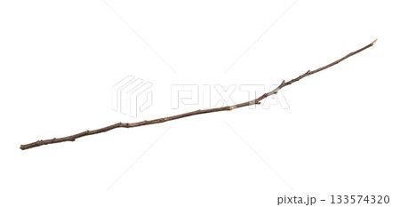 Dry tree branches isolated on white background Dry tree branches isolated on white background 133574320