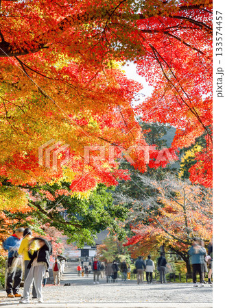 秋の南禅寺 133574457