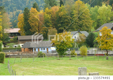 Charming Traditional European Village with Picturesque Houses and Historic Architecture 133574491