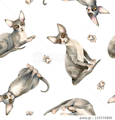 Sphinx cat animal seamless pattern. Sphynx hairless kitten, bald skin, paw, domestic cute grey pet repeat ornament, background. Watercolor isolated illustration for packaging, animalistic textile Sphinx cat animal seamless pattern. Sphynx hairless kitten, bald skin, paw, domestic cute grey pet repeat ornament, background. Watercolor isolated illustration for packaging, animalistic textile 133574800