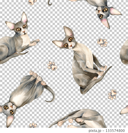 Sphinx cat animal seamless pattern. Sphynx hairless kitten, bald skin, paw, domestic cute grey pet repeat ornament, background. Watercolor isolated illustration for packaging, animalistic textile Sphinx cat animal seamless pattern. Sphynx hairless kitten, bald skin, paw, domestic cute grey pet repeat ornament, background. Watercolor isolated illustration for packaging, animalistic textile 133574800