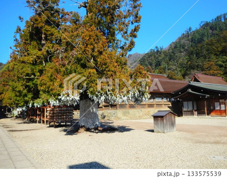 出雲大社　島根県　1 133575539