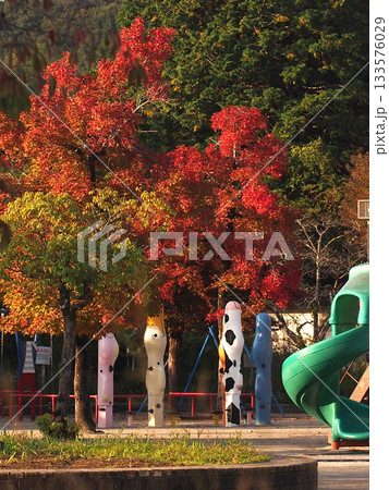 色付いた木々と遊具（秋の日差しの降り注ぐ神田公園） 133576029