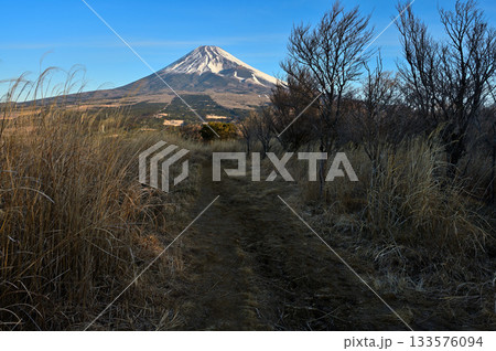愛鷹山塊の越前岳　朝の山道より眺める富士山 133576094