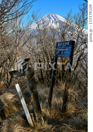 愛鷹山塊の越前岳　森の勢子辻分岐より望む富士山 133576109