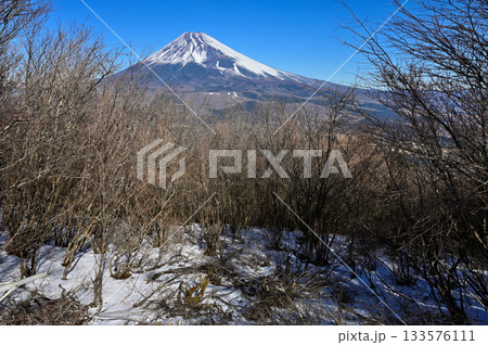 愛鷹山塊の越前岳　富士見台の森から望む富士山 133576111