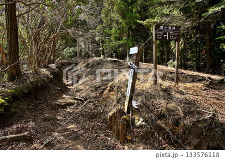 愛鷹山塊の越前岳 黒岳との分岐の富士見峠 愛鷹山塊の越前岳 黒岳との分岐の富士見峠 133576118