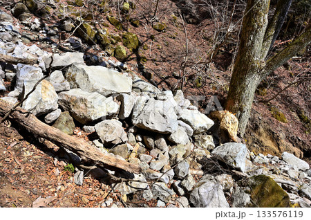 愛鷹山塊の越前岳 谷筋で岩が地滑りを起こした崩落地 愛鷹山塊の越前岳 谷筋で岩が地滑りを起こした崩落地 133576119